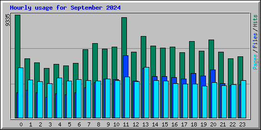 Hourly usage for September 2024