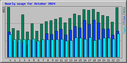 Hourly usage for October 2024