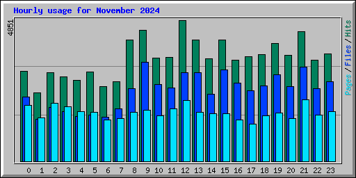 Hourly usage for November 2024