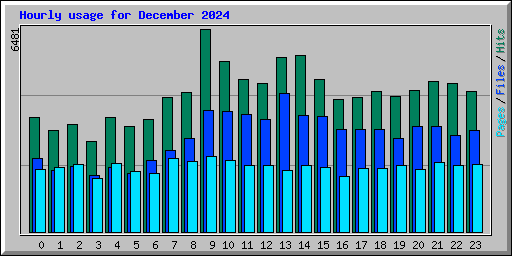 Hourly usage for December 2024
