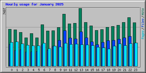 Hourly usage for January 2025