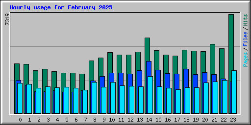 Hourly usage for February 2025