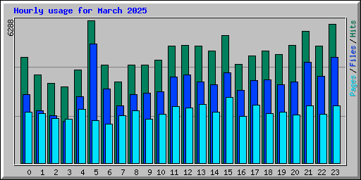 Hourly usage for March 2025