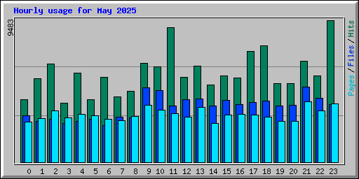 Hourly usage for May 2025