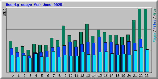 Hourly usage for June 2025
