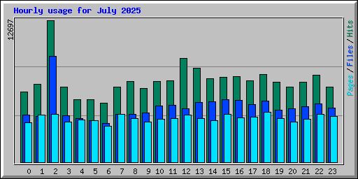 Hourly usage for July 2025