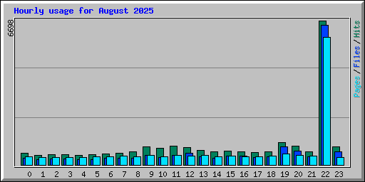 Hourly usage for August 2025